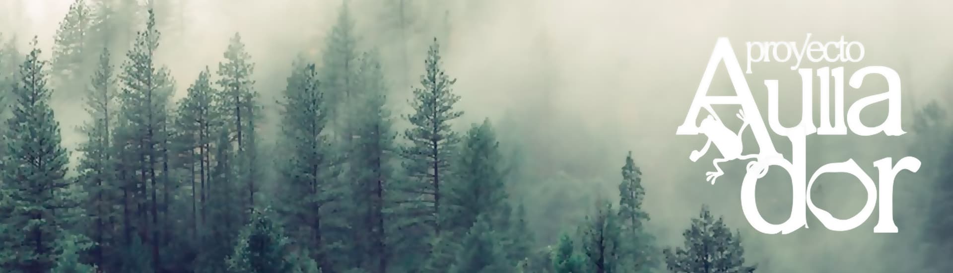 Alberto Laínez y el Proyecto Aullador